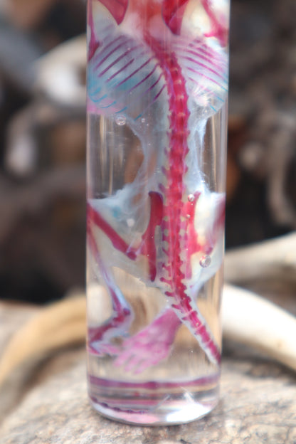 Diaphonized Juvenile Rat with Ears