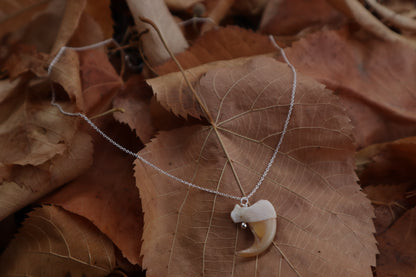 Reserved For Erin - Bobcat Claw Necklace