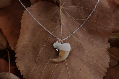 Reserved For Erin - Bobcat Claw Necklace