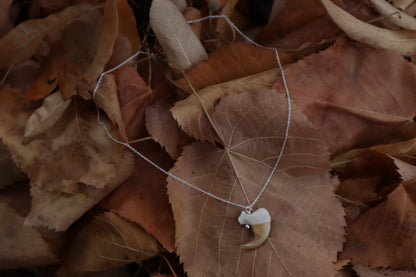 Reserved For Erin - Bobcat Claw Necklace