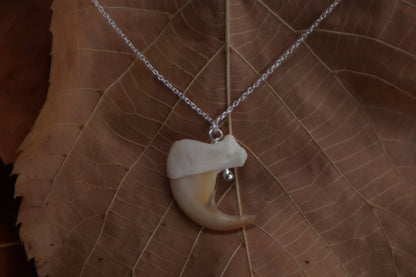 Reserved For Erin - Bobcat Claw Necklace