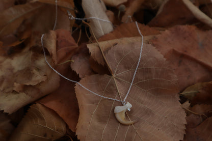 Bobcat Claw Necklace