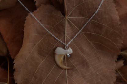 Bobcat Claw Necklace