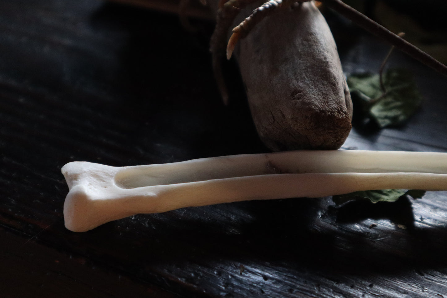 Wolf Bone Forest Spirit Incense Burner