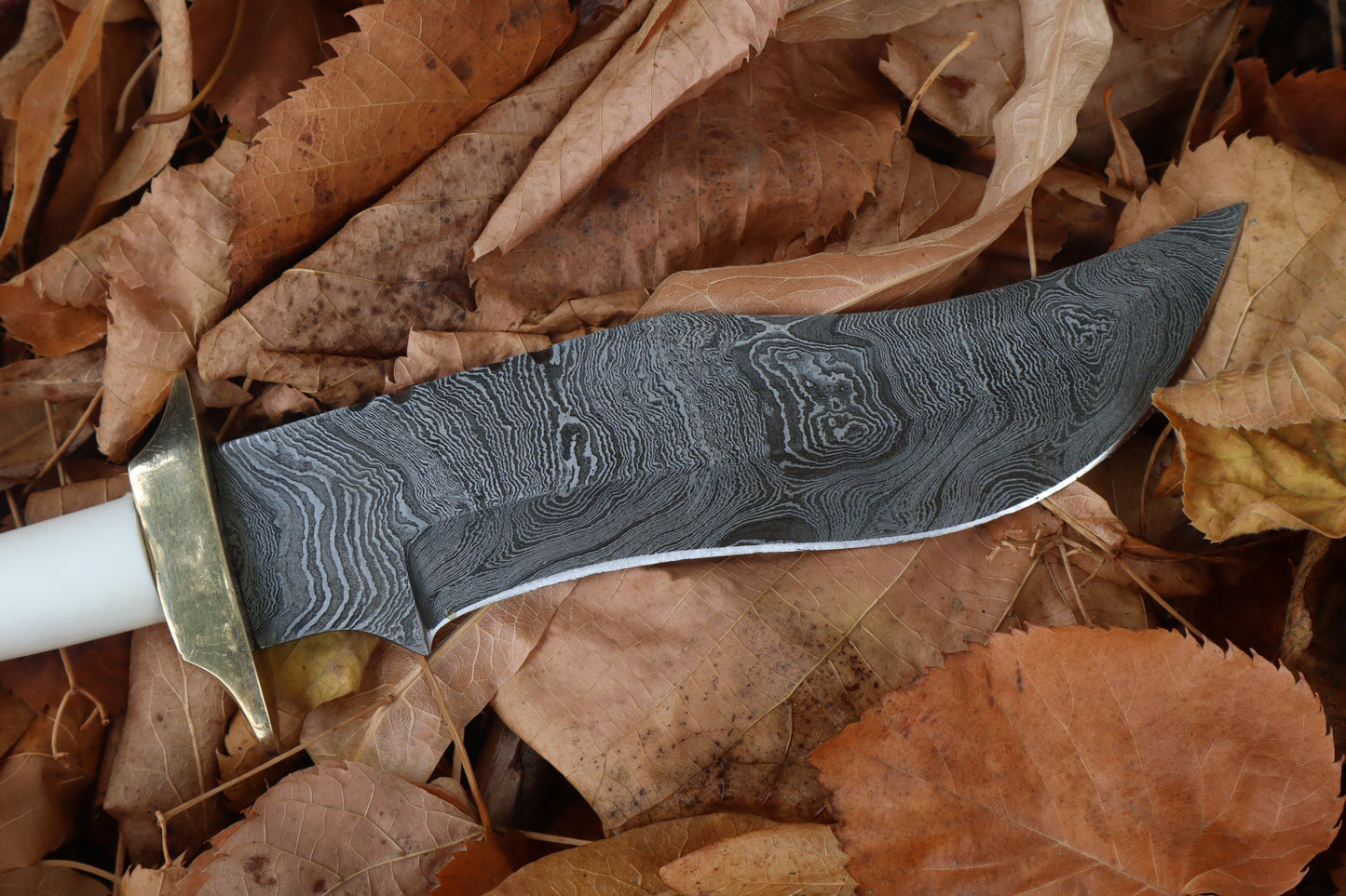 Damascus Wolf Femur Knife