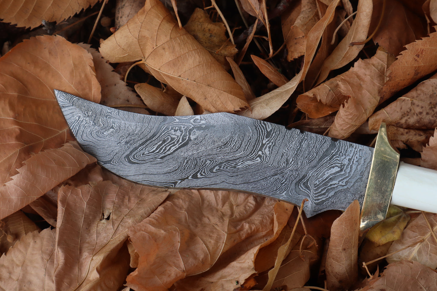 Damascus Wolf Femur Knife