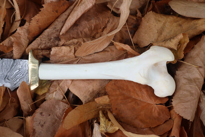 Damascus Wolf Femur Knife