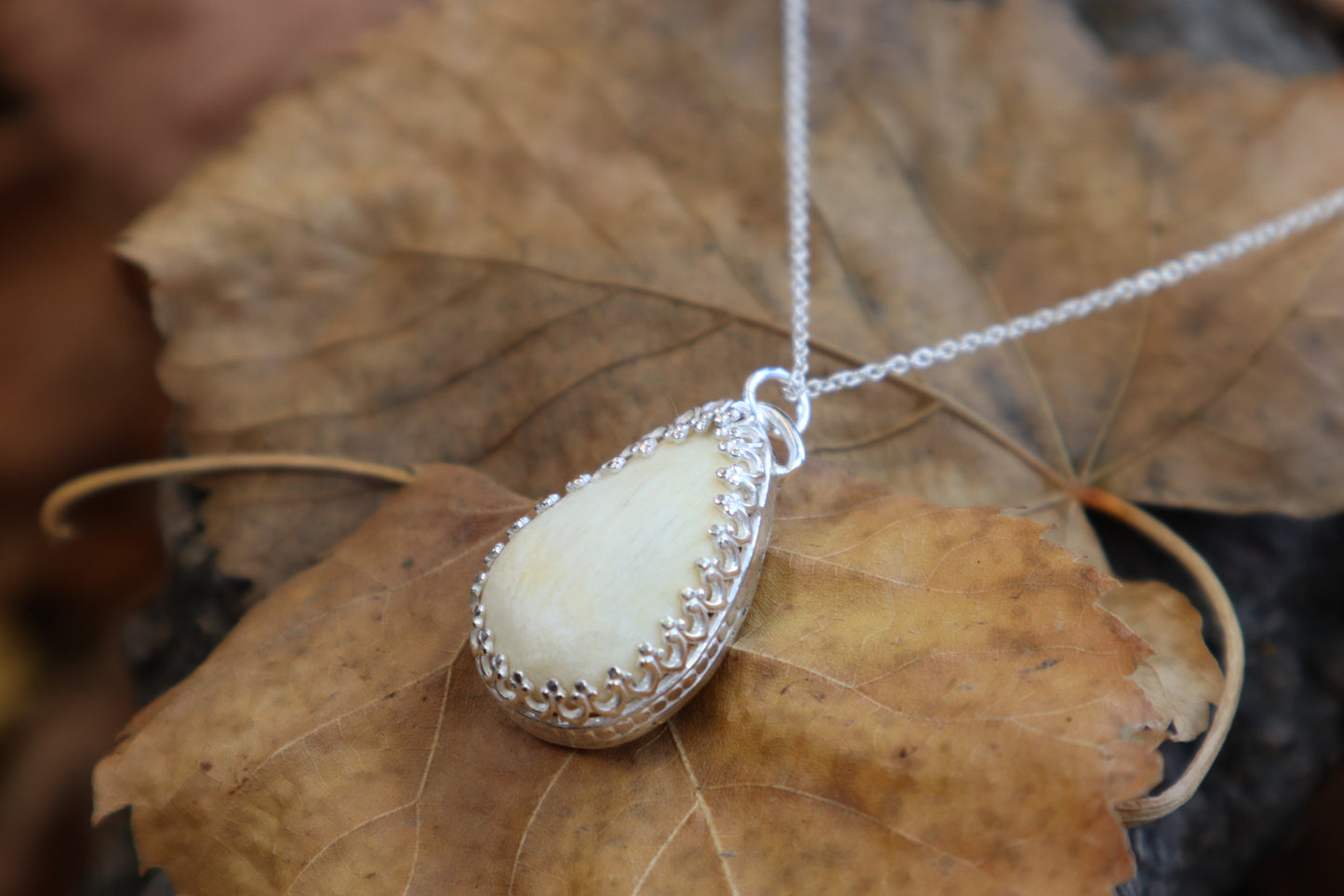 Bobcat Patella Necklace