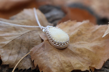 Bobcat Patella Necklace