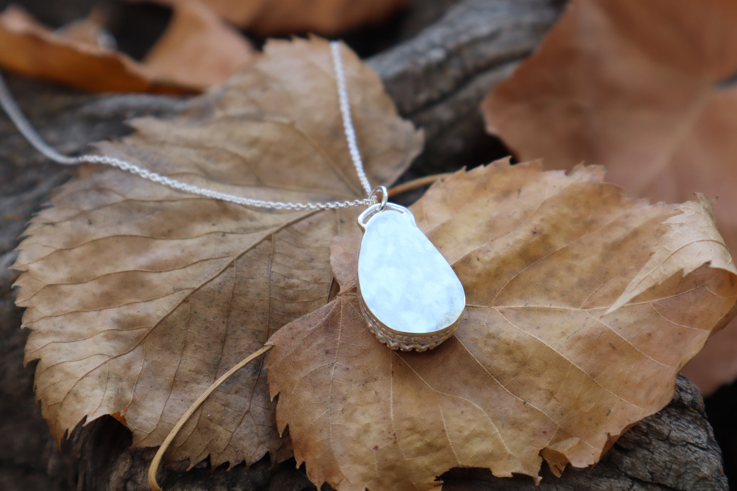 Bobcat Patella Necklace