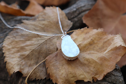 Bobcat Patella Necklace