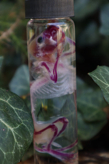Diaphonized Mouse