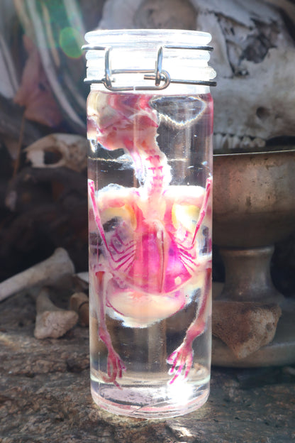 Diaphonized Parakeet