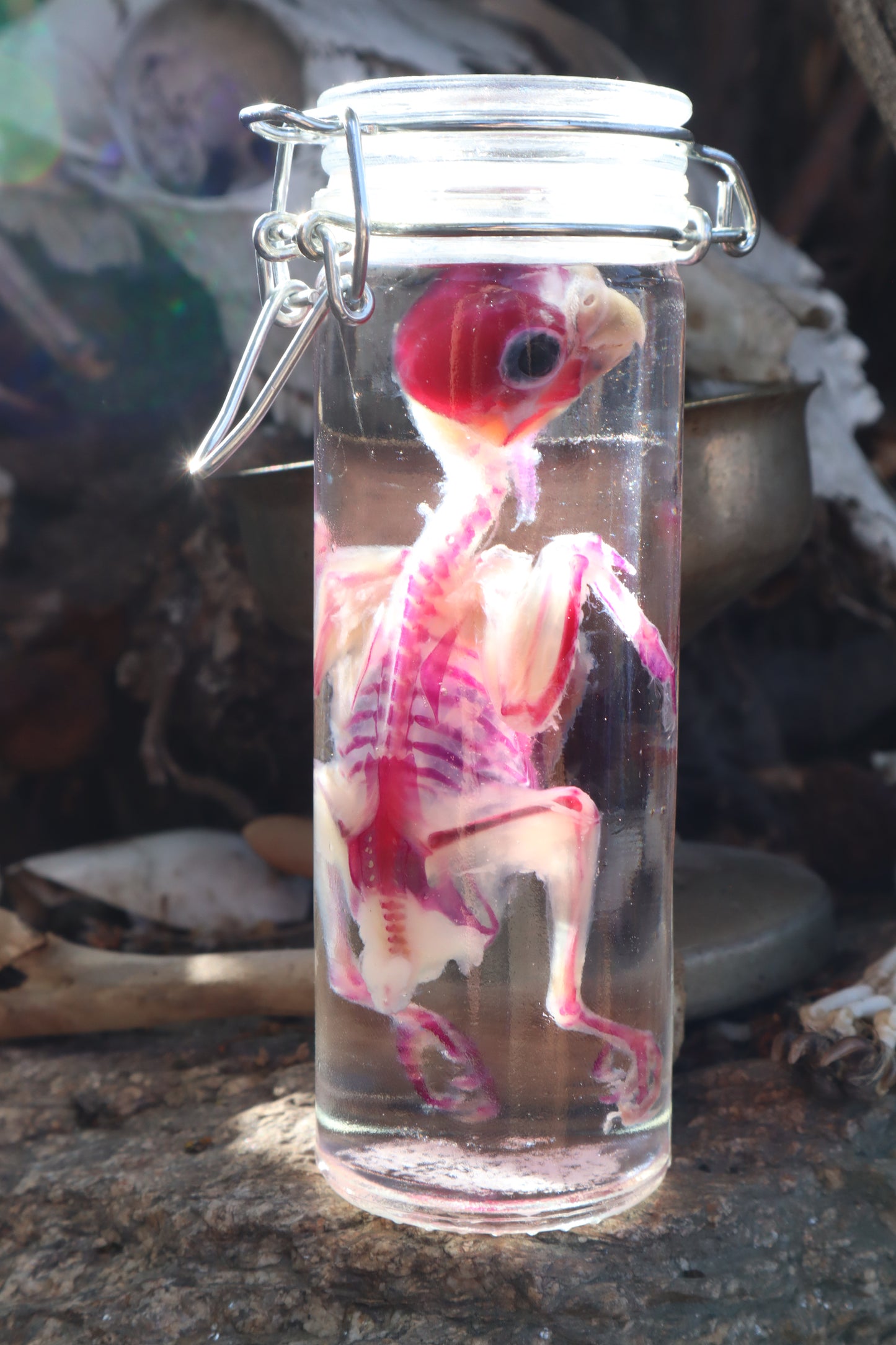 Diaphonized Parakeet
