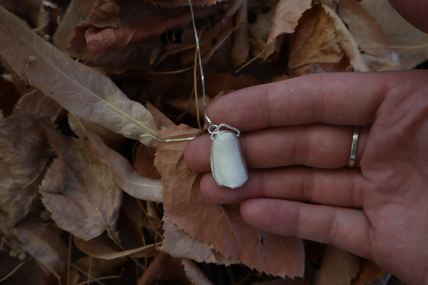 Wolf Patella Necklace
