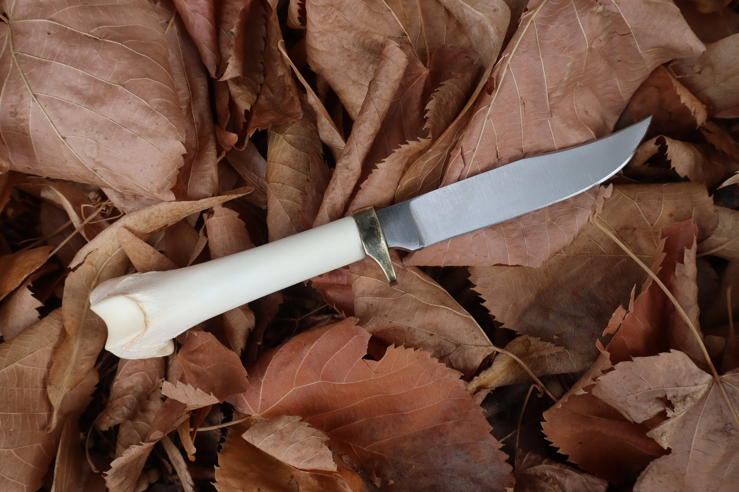Bobcat Femur Knife