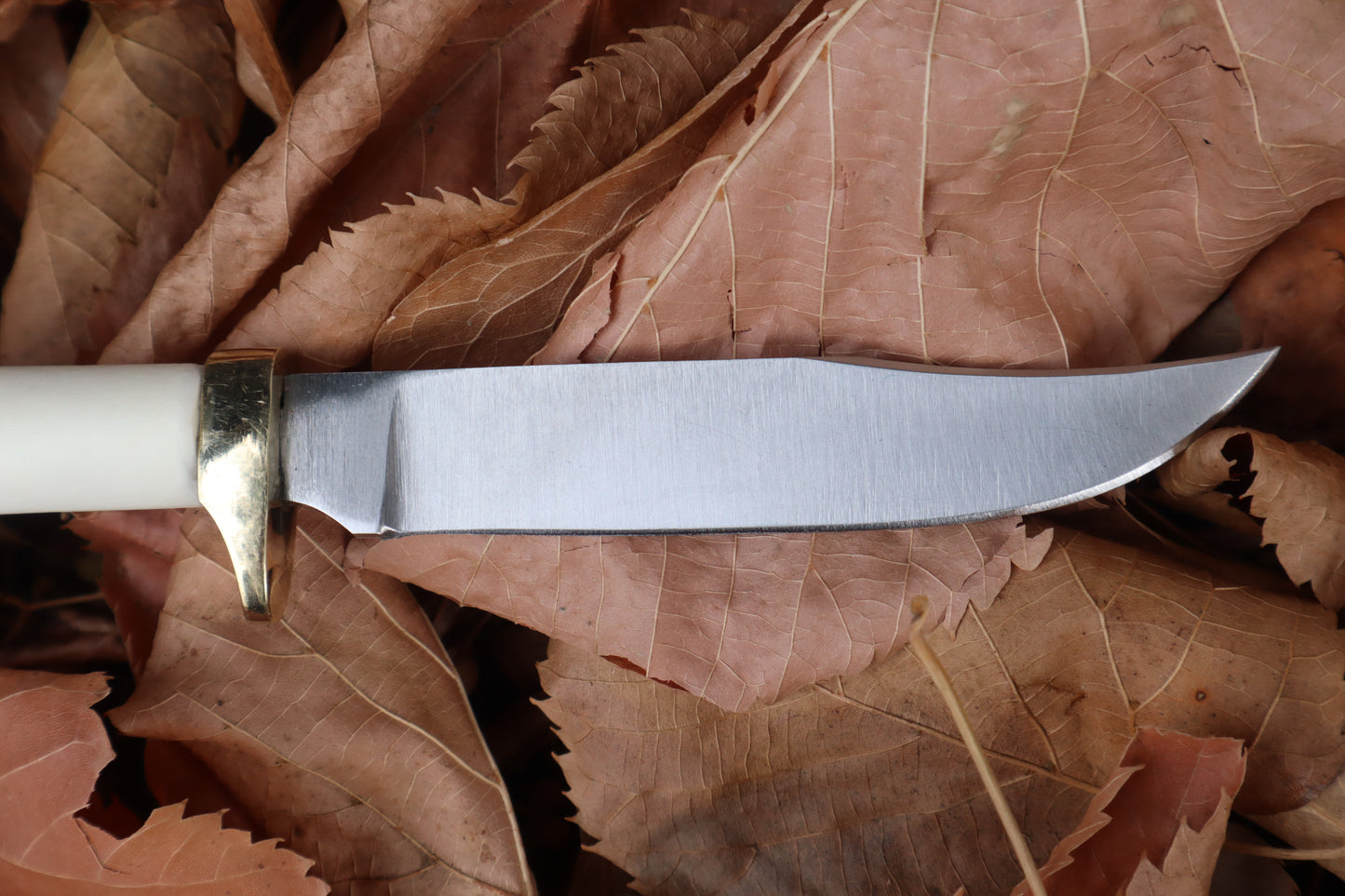 Bobcat Femur Knife