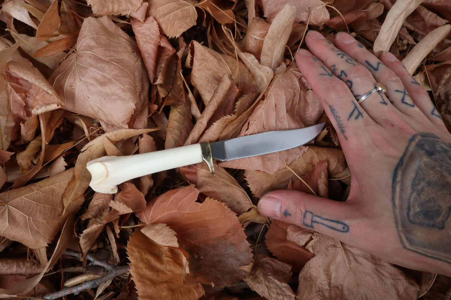 Bobcat Femur Knife