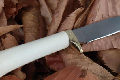 Bobcat Femur Knife