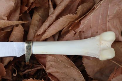 Bobcat Femur Knife