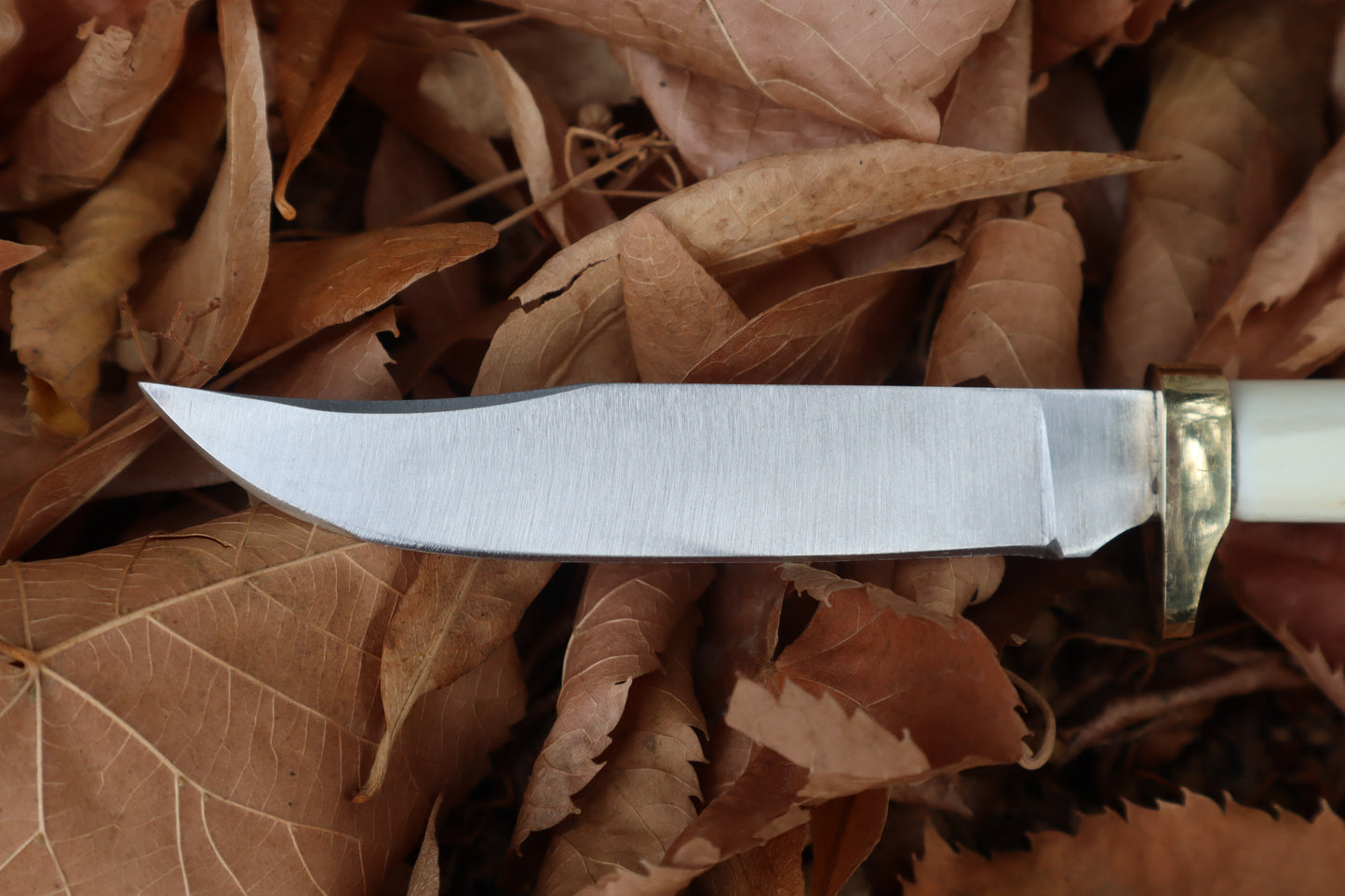 Bobcat Femur Knife
