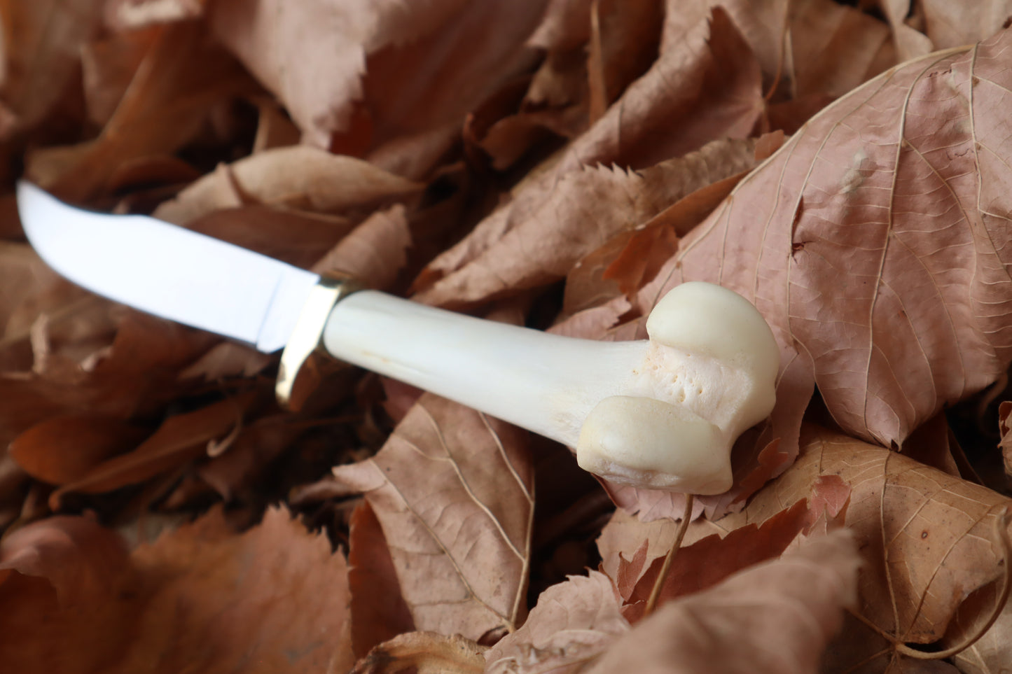 Bobcat Femur Knife