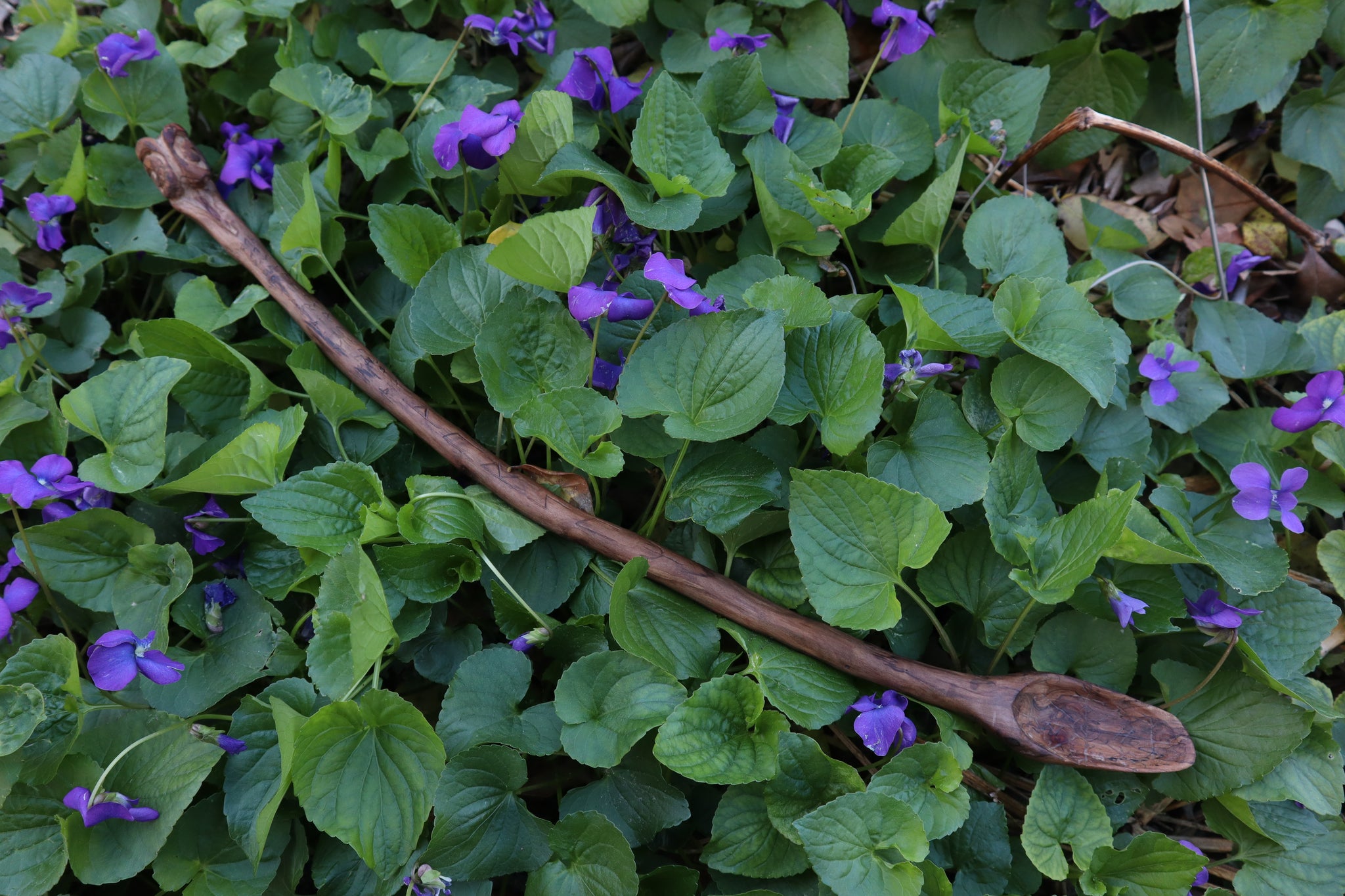 Black Walnut Blótboli Spoon