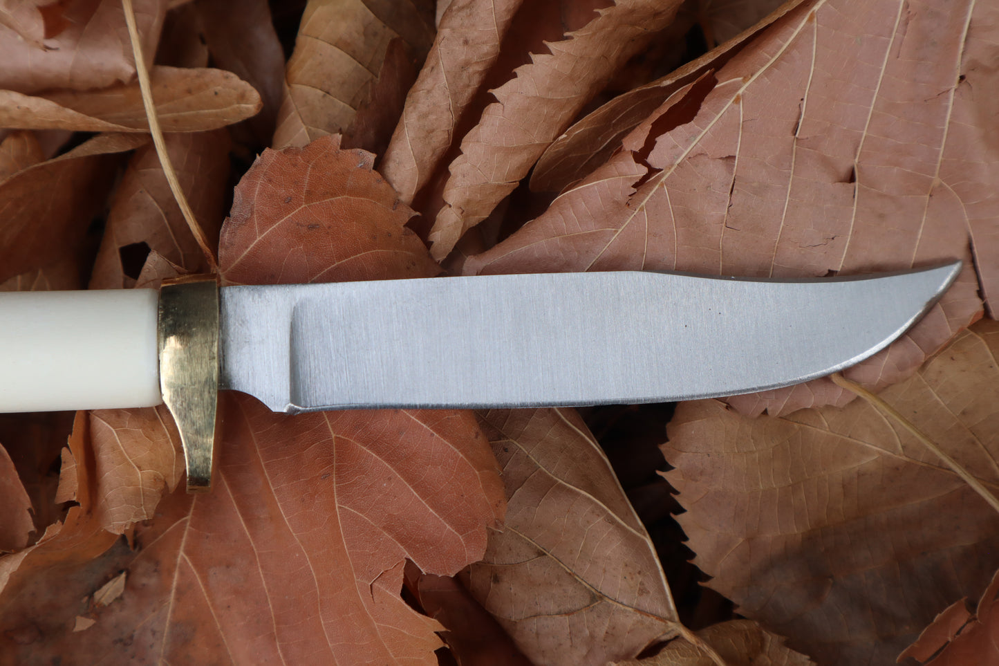Bobcat Femur Knife