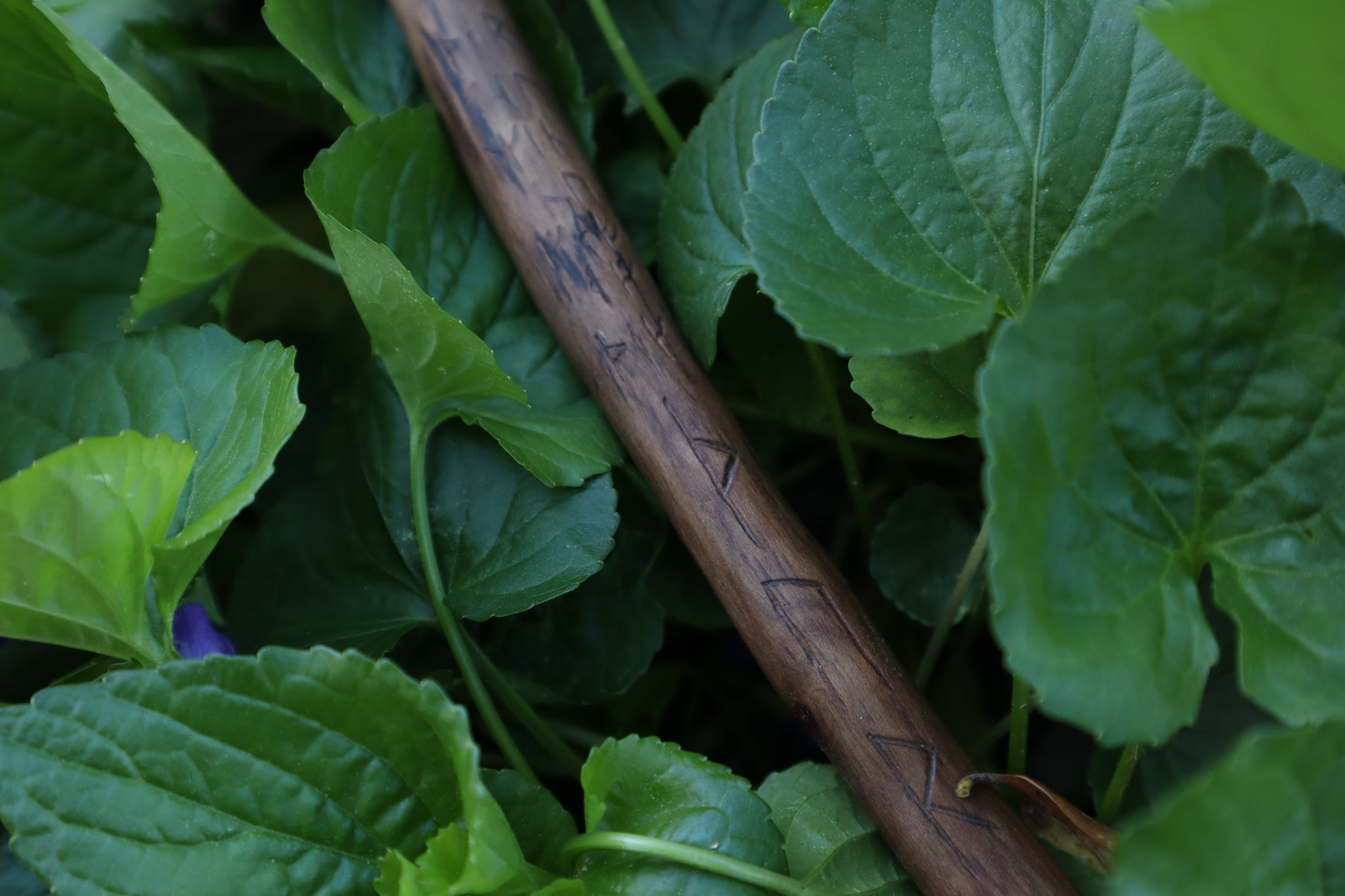 Black Walnut Blótboli Spoon