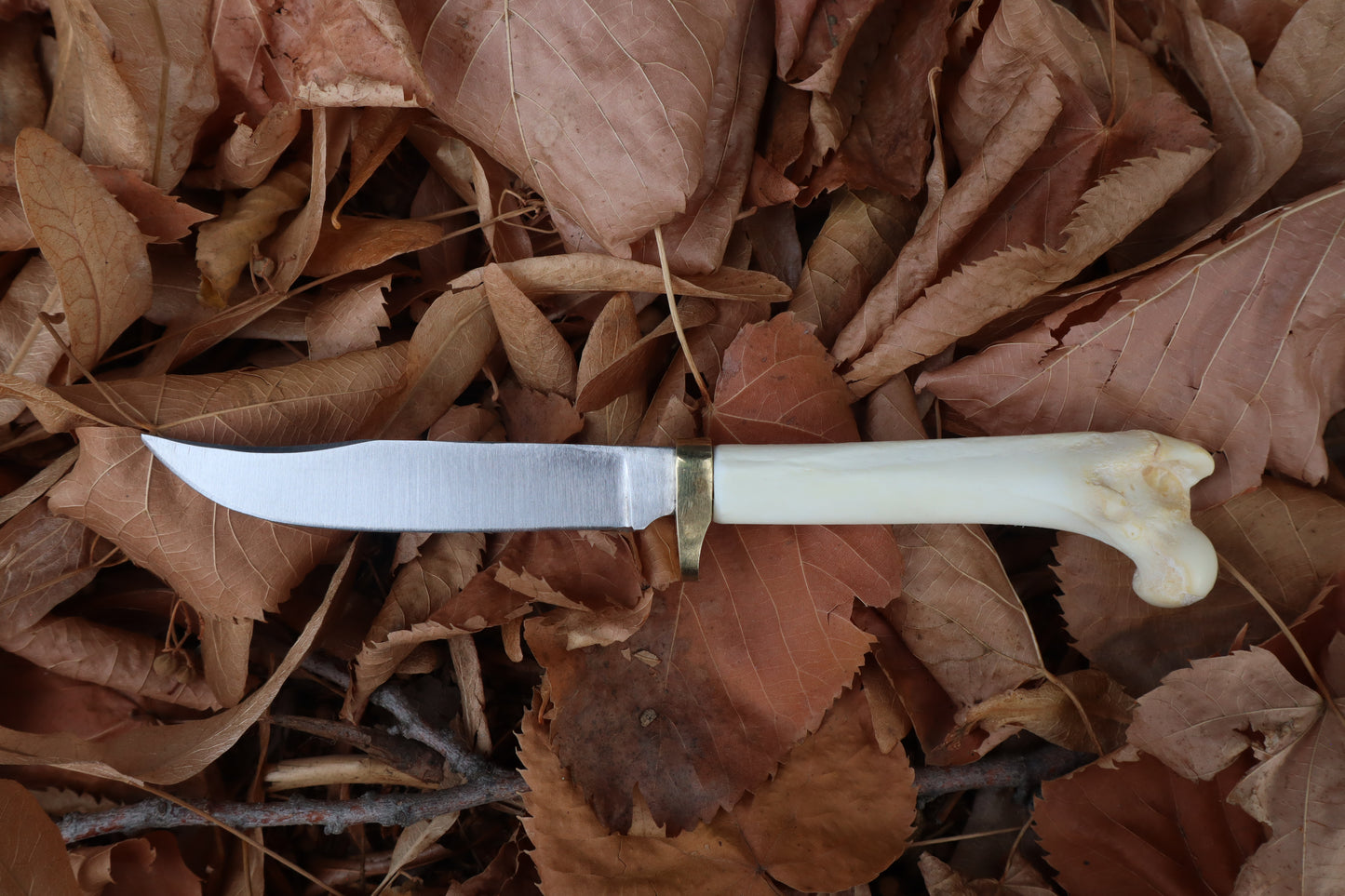 Bobcat Femur Knife