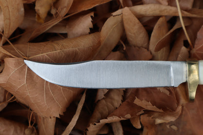 Bobcat Femur Knife