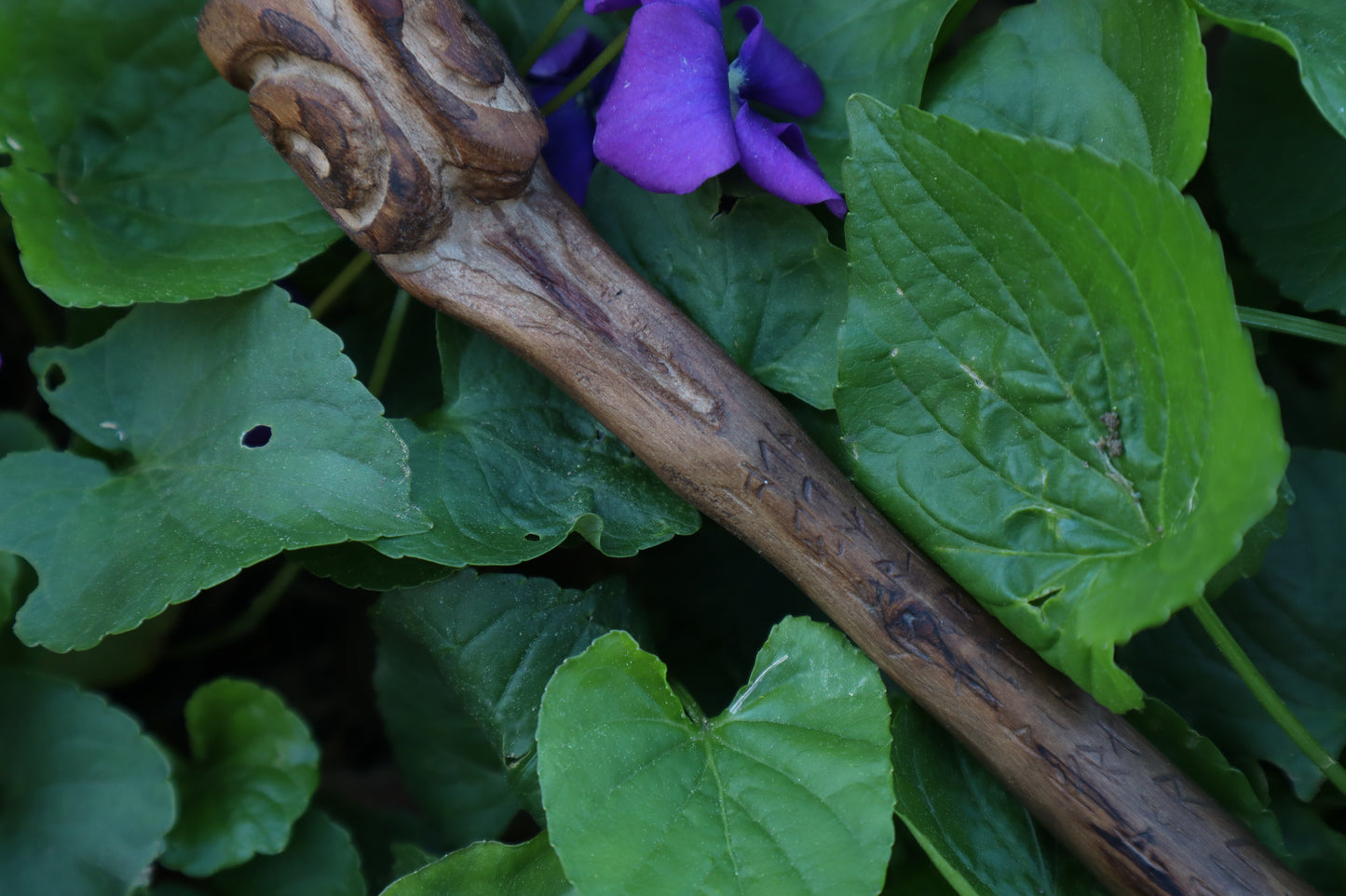 Black Walnut Blótboli Spoon
