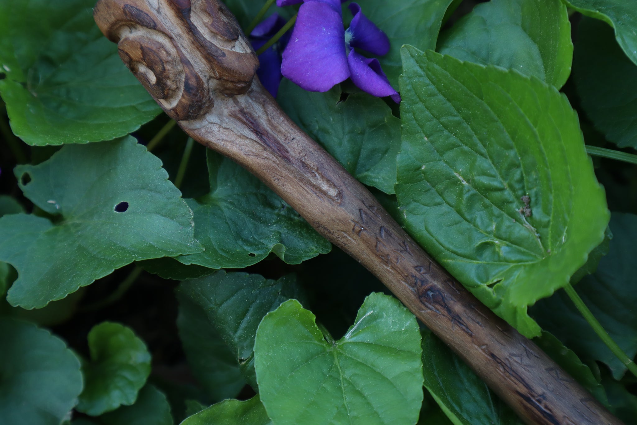 Black Walnut Blótboli Spoon
