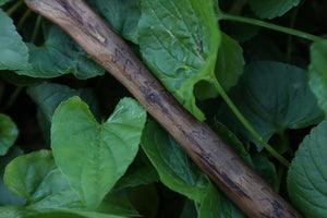 Black Walnut Blótboli Spoon