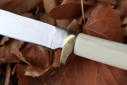 Bobcat Femur Knife