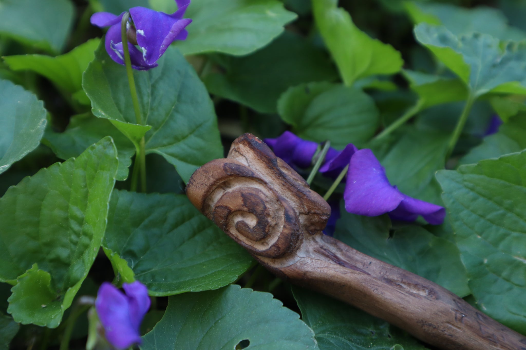 Black Walnut Blótboli Spoon