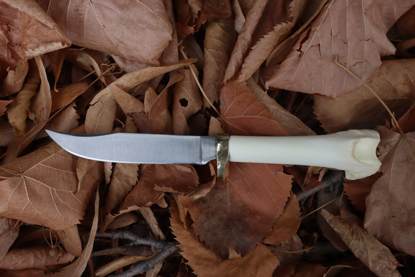 Bobcat Femur Knife