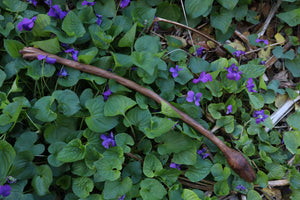 Black Walnut Blótboli Spoon