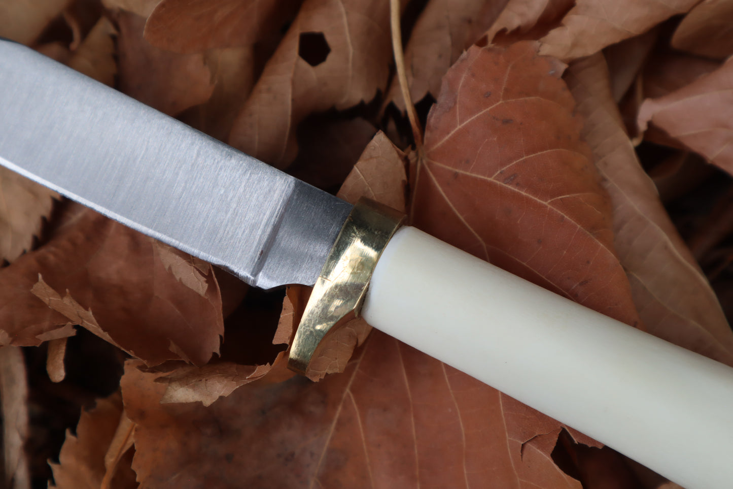 Bobcat Femur Knife