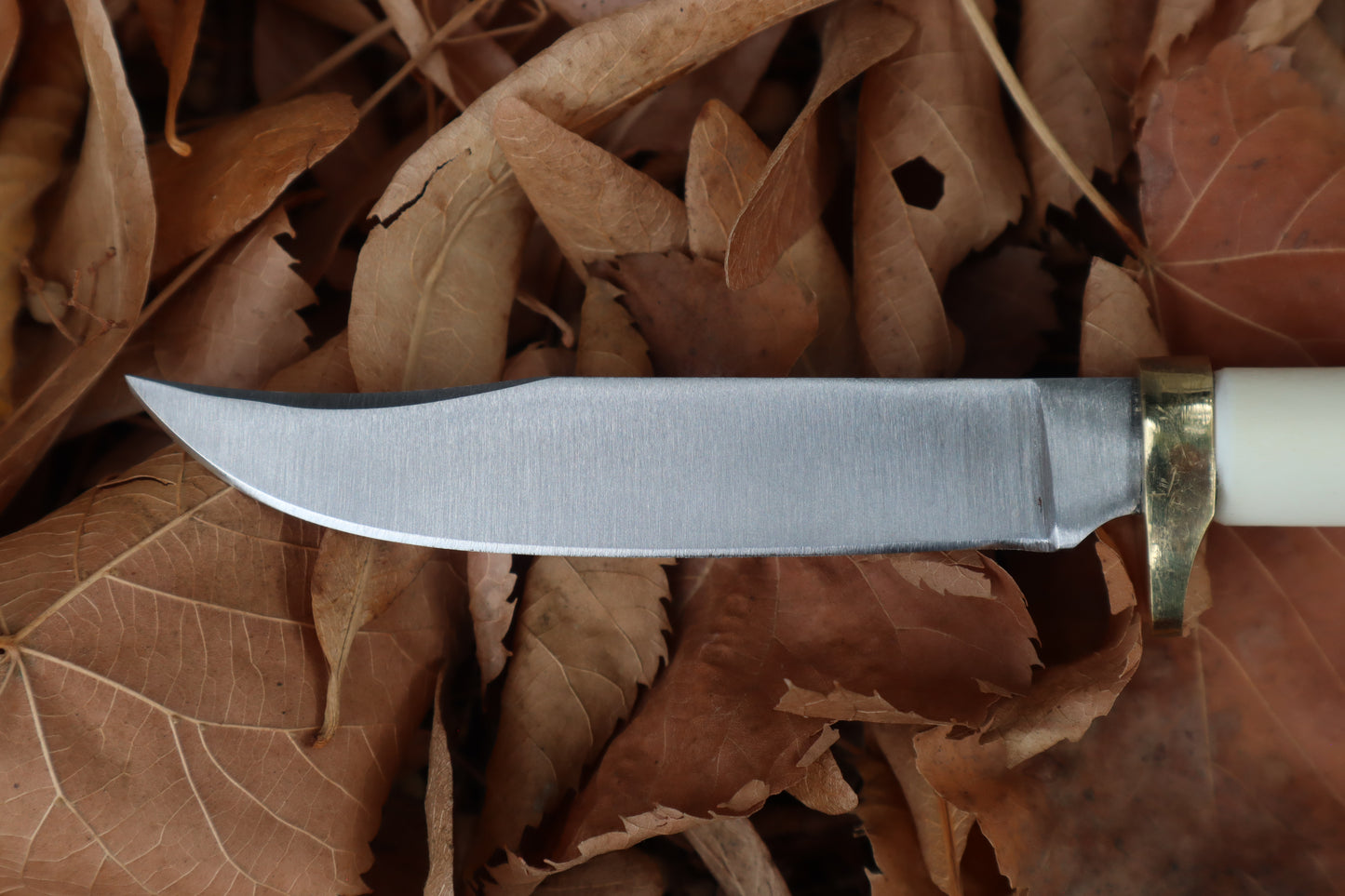 Bobcat Femur Knife