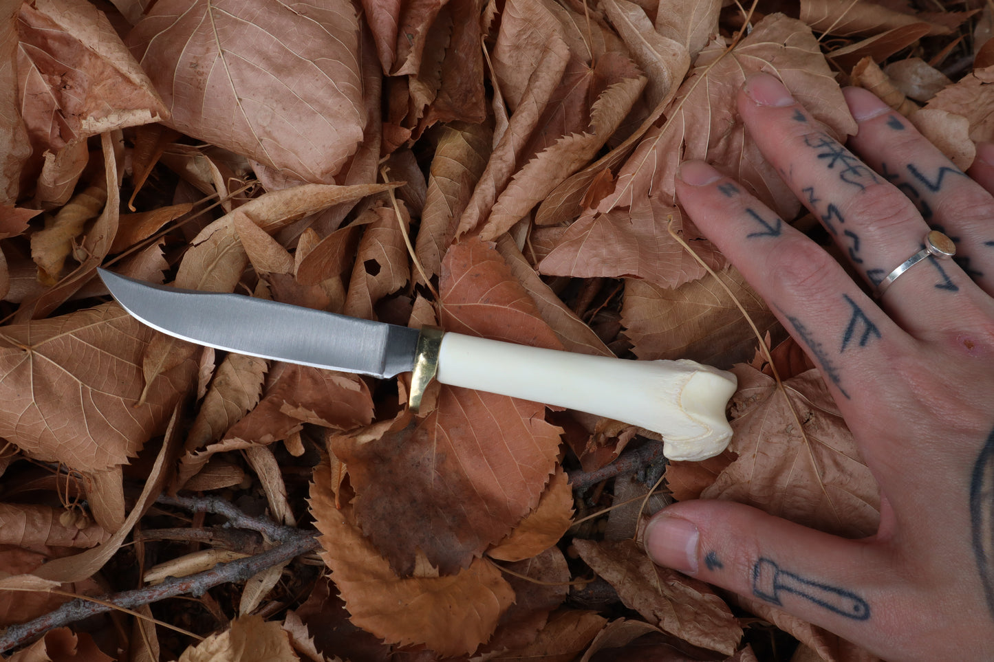 Bobcat Femur Knife