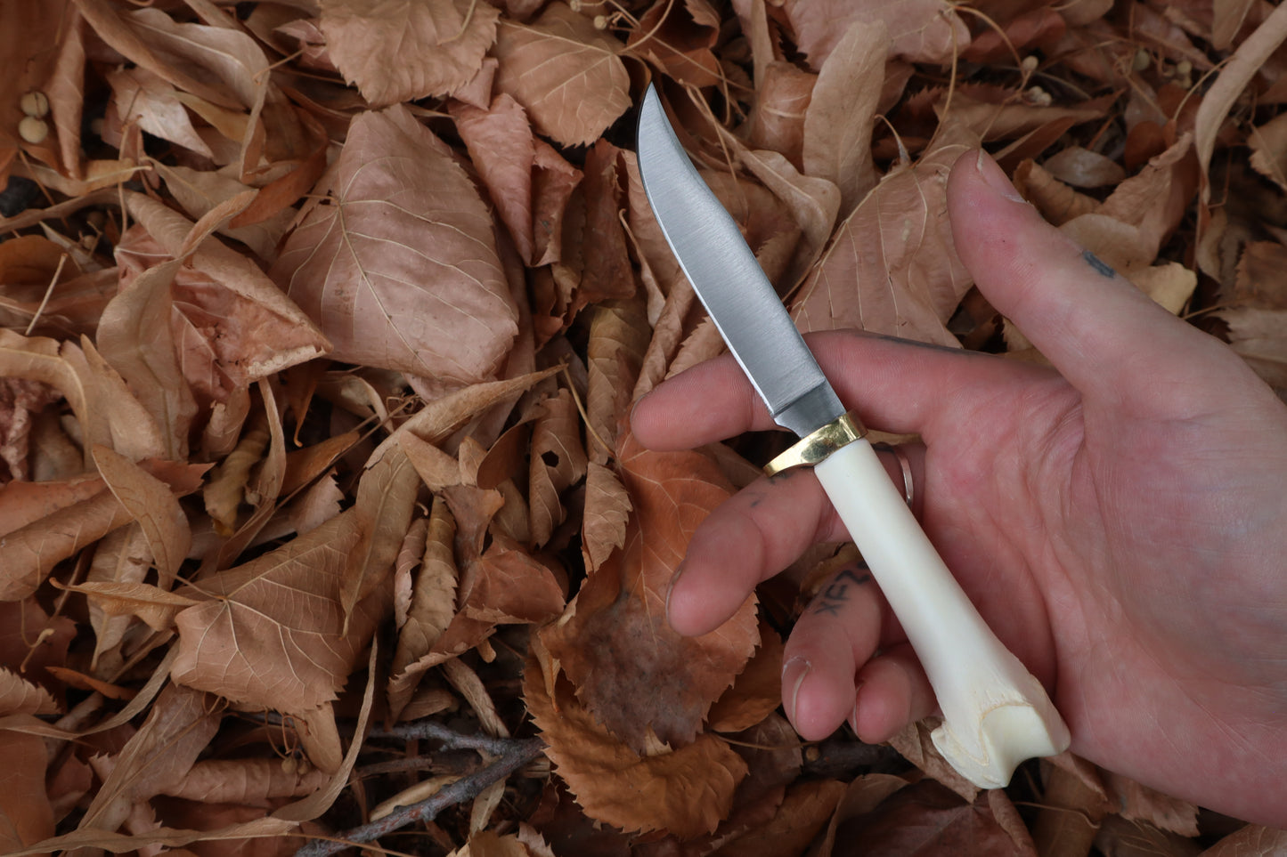 Bobcat Femur Knife