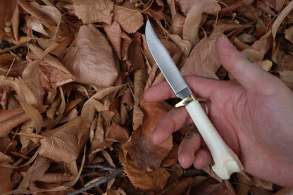 Bobcat Femur Knife