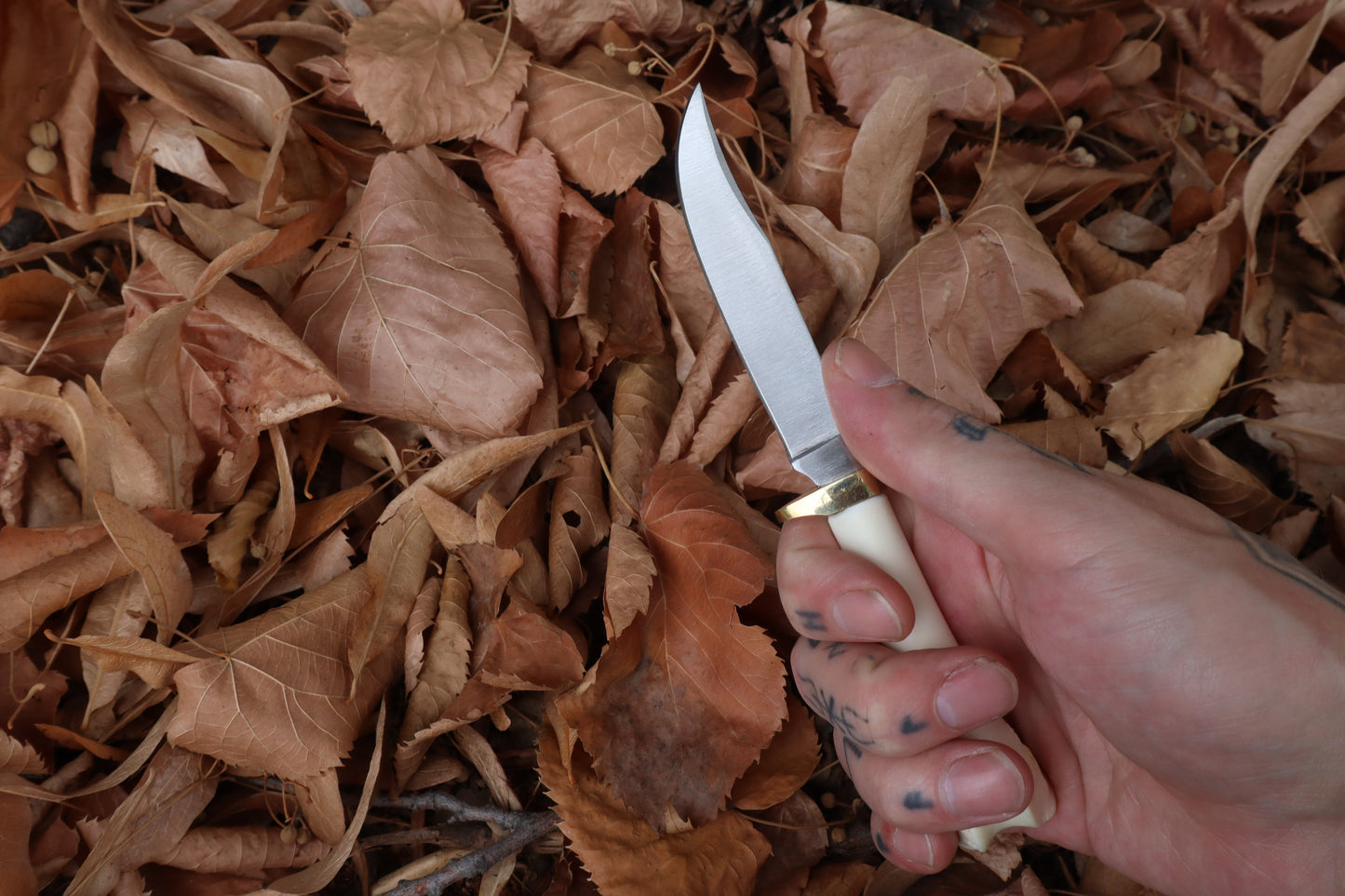 Bobcat Femur Knife