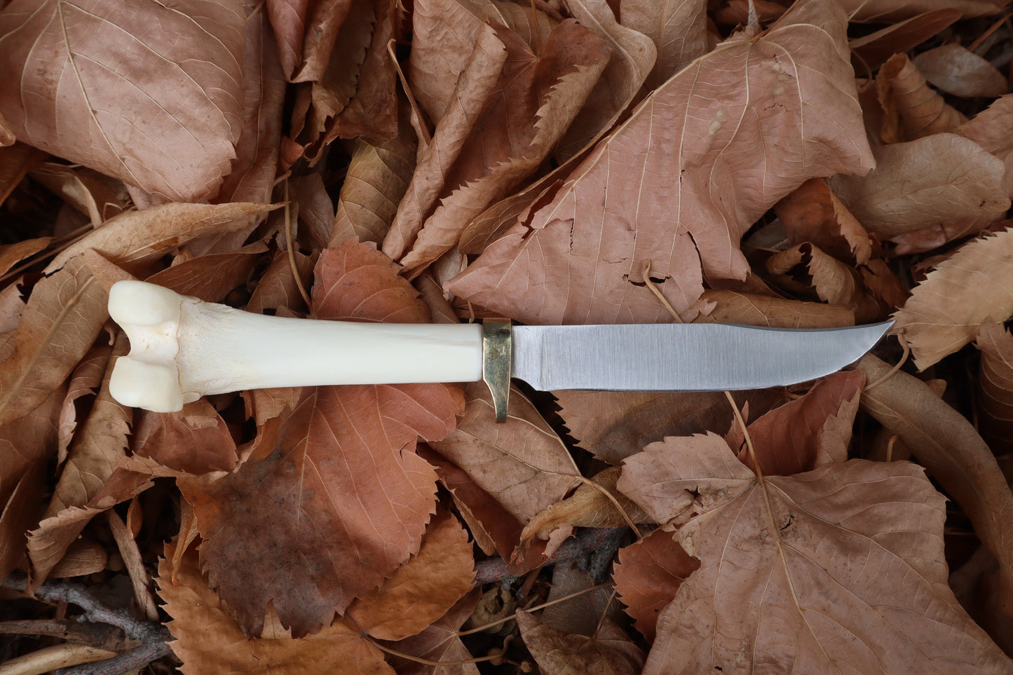 Bobcat Femur Knife