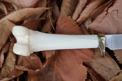 Bobcat Femur Knife