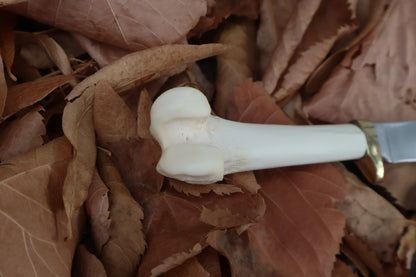 Bobcat Femur Knife