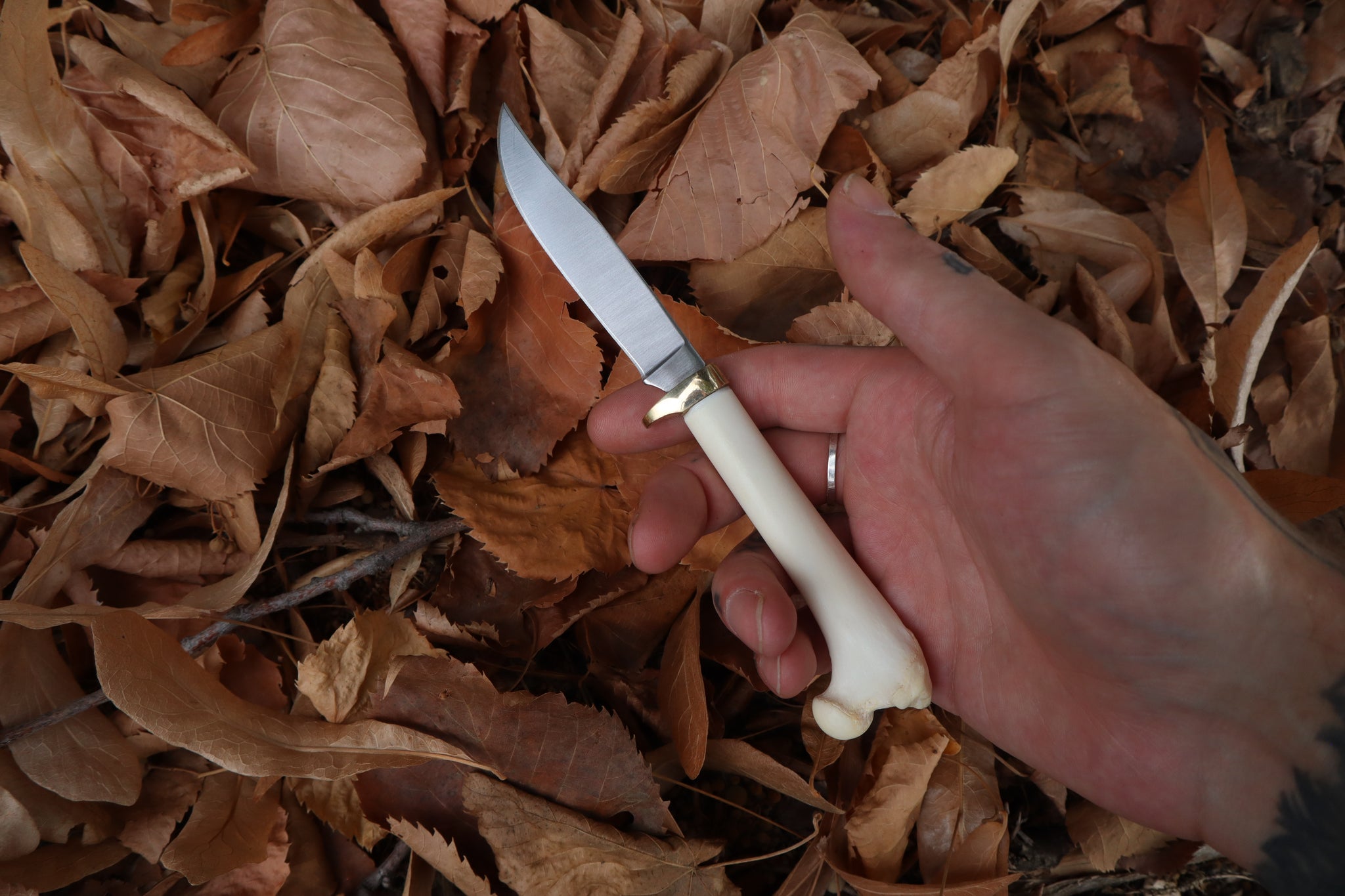 Bobcat Femur Knife