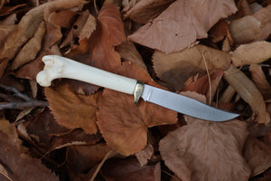 Bobcat Femur Knife