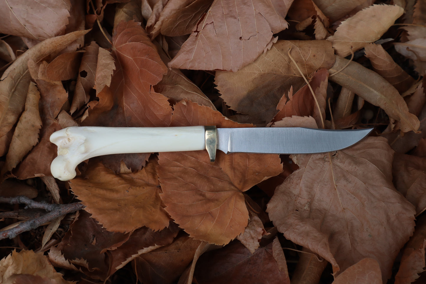 Bobcat Femur Knife